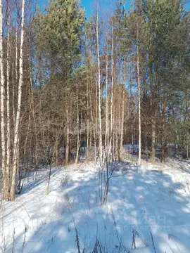 Участок в Вологодская область, с. Устье ул. Дальняя (7.0 сот.)