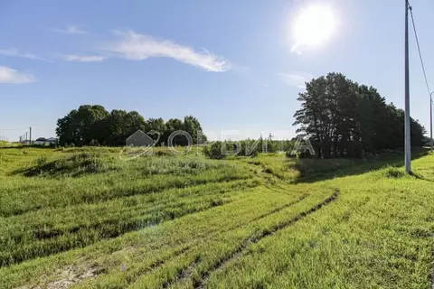 Участок в Тюменская область, Тюменский район, с. Борки  (15.0 сот.)