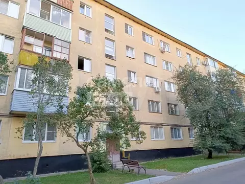 Авито Купить Однокомнатную Квартиру В Ступино