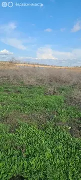 Участок в Новотитаровское сельское поселение, хутор Осечки, 37/4 (7 м)