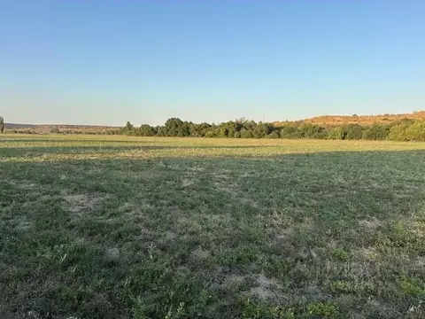 Участок в Крым, Белогорский район, Зуйское с/пос, с. Литвиненково ул. ...