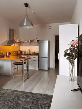 Студия Санкт-Петербург ул. Георгия Гречко, 1 (25.8 м)