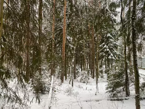 Участок в Ленинградская область, Всеволожский район, Токсовское ...