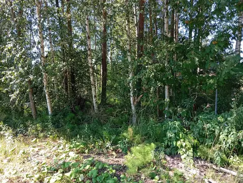 Участок в Ленинградская область, Всеволожский район, Рахьинское ...