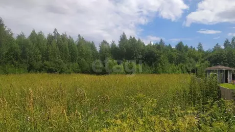 Участок в Вологодская область, Вологда Разлив садоводческое ...