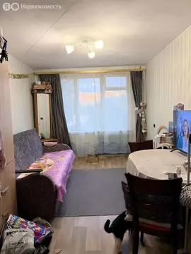 1-комнатная квартира: Санкт-Петербург, Пискарёвский проспект, 17к3 ...