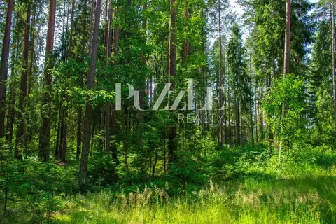 Участок в Ленинградская область, Выборгский район, Рощино пгт, КП ...