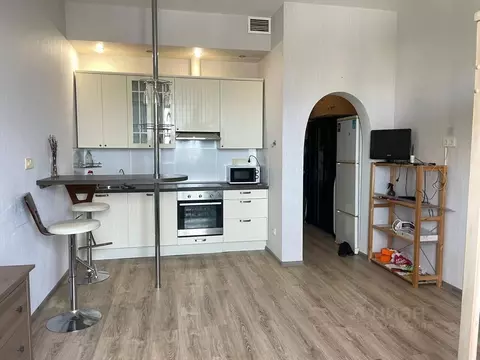 Студия Санкт-Петербург Земледельческая ул., 5к2 (31.0 м)