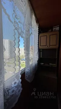 Комната Санкт-Петербург ул. Коллонтай, 9 (12.4 м)
