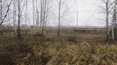 Участок в Московская область, Коломна городской округ, с. Редькино  ...