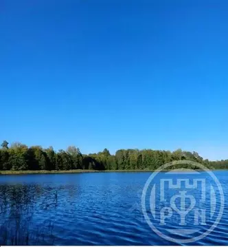 Дом в Ленинградская область, Лужский район, Серебрянское с/пос, д. ...