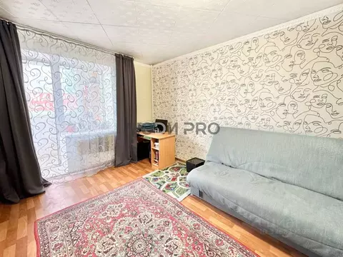 Студия Алтайский край, Барнаул тракт Павловский, 221 (26.0 м)