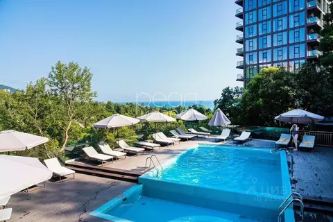 Студия Краснодарский край, Сочи Светлана мкр, ул. Депутатская, 14 ...