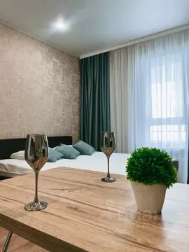 Студия Пензенская область, Пенза ул. Измайлова, 58Ак1 (28.0 м)