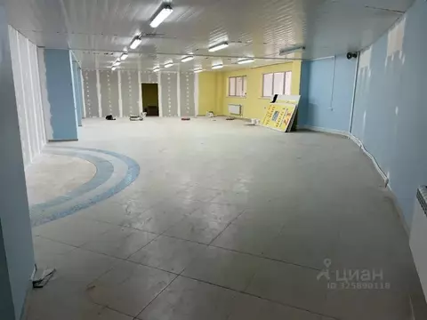 Помещение свободного назначения в Пензенская область, Пенза Окружная ...