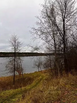 Участок в Тверская область, Кимры Береговая ул., 17 (10.0 сот.)