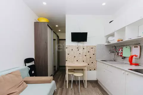 Студия Тюменская область, Тюмень ул. Новоселов, 107к2 (18.0 м)