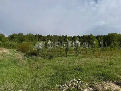 Участок в Тюменская область, Тюменский муниципальный округ, с. ...