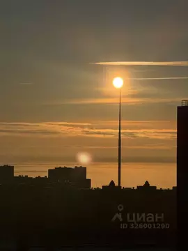 Студия Санкт-Петербург Мебельная ул., 35к2 (24.0 м)