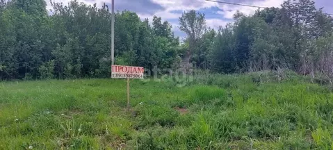 Участок в Воронежская область, Рамонский район, Березовское с/пос, с. ...