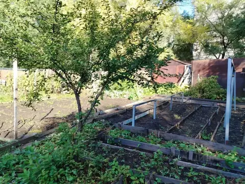 Дом в Амурская область, Благовещенск Зейский пер., 3 (59 м)