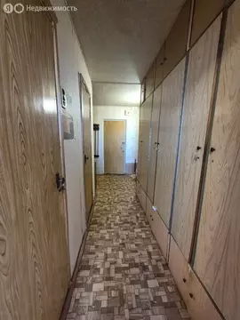 1-комнатная квартира: посёлок Жуково, микрорайон Берёзки, 4 (38 м)