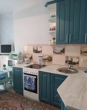 Студия Самарская область, Тольятти ул. Баныкина, 16В (24.0 м)