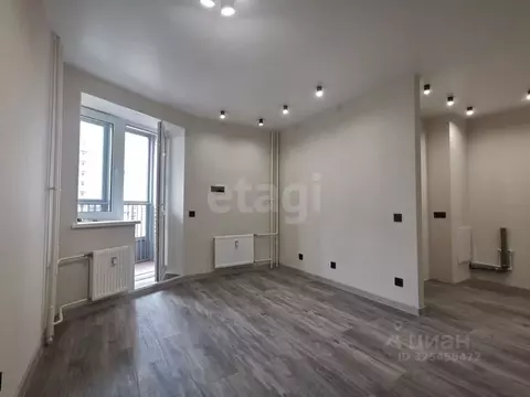 Студия Санкт-Петербург Заневский просп., 42 (24.8 м)