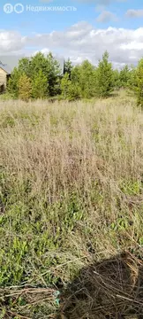 Участок в Завьяловский район, деревня Сизево, Славная улица, 13 (8 м)