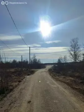 Участок в Плодовское сельское поселение, посёлок при железнодорожной ...