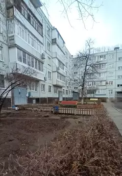 3-к кв. Самарская область, Тольятти просп. Степана Разина, 35 (60.8 м)