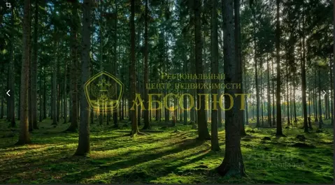 Участок в Свердловская область, Ревда муниципальный округ, пос. ...