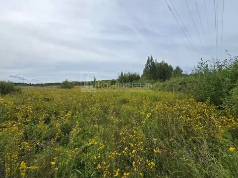 Участок в Владимирская область, Ковровский район, Малыгинское с/пос, ...