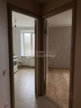 1-к кв. Санкт-Петербург Народная ул., 16 (29.5 м)