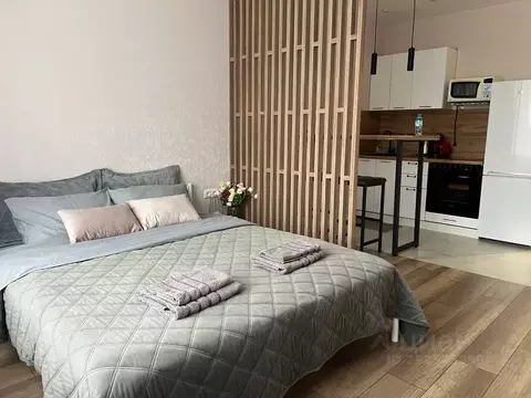 Студия Тульская область, Тула ул. Самоварная, 10 (30.0 м)