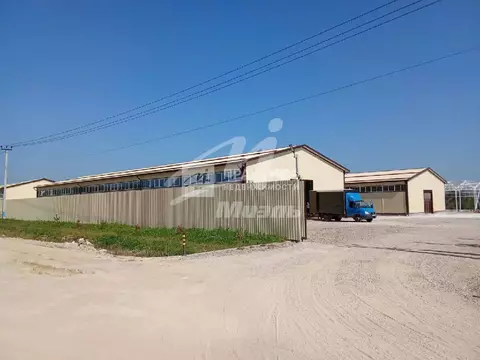 Продается участок в д. Сергеево