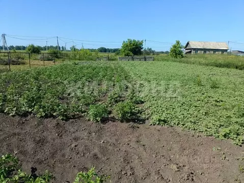 Участок в Новосибирская область, Новосибирский район, Толмачевский ...