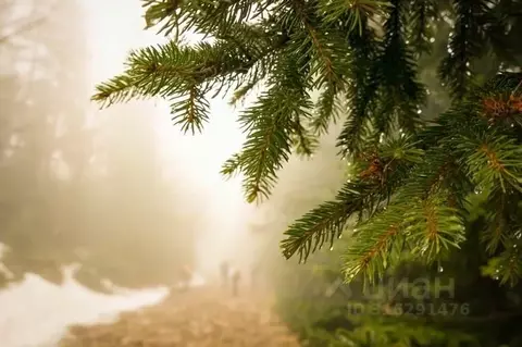 Участок в Тверская область, Конаковский муниципальный округ, Волжские ...