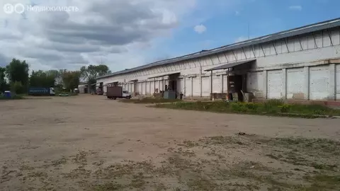 Склад (5000 м)