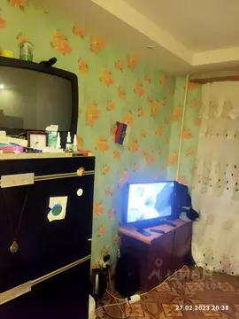 Студия Красноярский край, Красноярск Николаевка мкр, ул. Волочаевская, ...