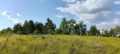 Участок в Оренбургская область, Оренбургский район, ...