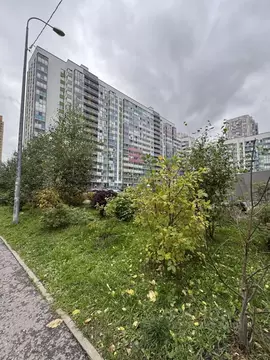 Студия Ленинградская область, Кудрово г. Всеволожский район, Заневское ...