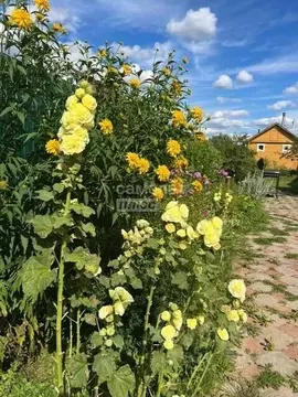 Дом в Московская область, Можайский муниципальный округ, Борисово СДТ ...