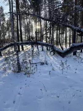 Участок в Забайкальский край, Читинский район, с. Смоленка, Лесное ...