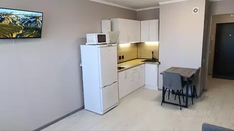 Студия Санкт-Петербург пос. Парголово, Заречная ул., 13к1 (26.6 м)