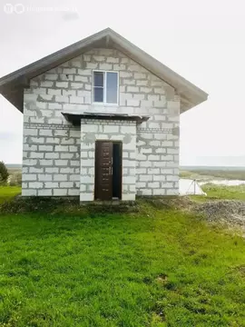 Дом в Пензенская область, Бессоновский сельсовет (95 м)