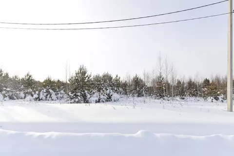 Участок в Тюменская область, Тюменский муниципальный округ, с. Кулига, ...