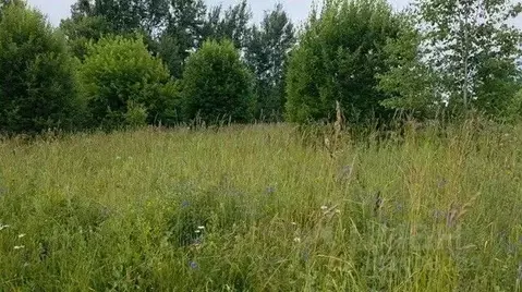 Участок в Московская область, Щелково городской округ, д. Глазуны  ...