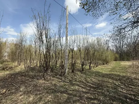 Участок в Ярославская область, Переславль-Залесский муниципальный ...