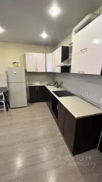 Студия Московская область, Красноармейск Пушкинский городской округ, ...